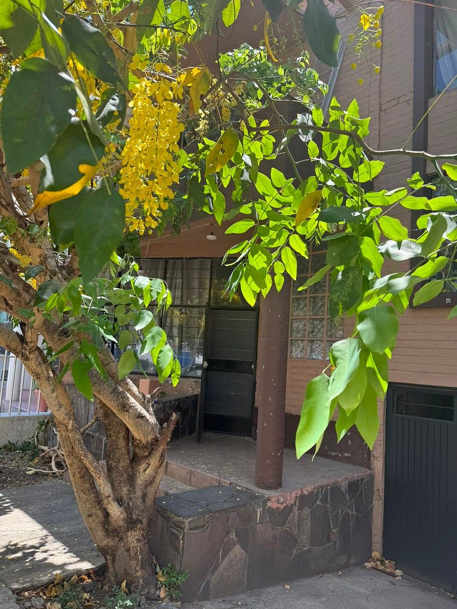 House in Arcos Vallarta, Guadalajara, photo 2 of 16