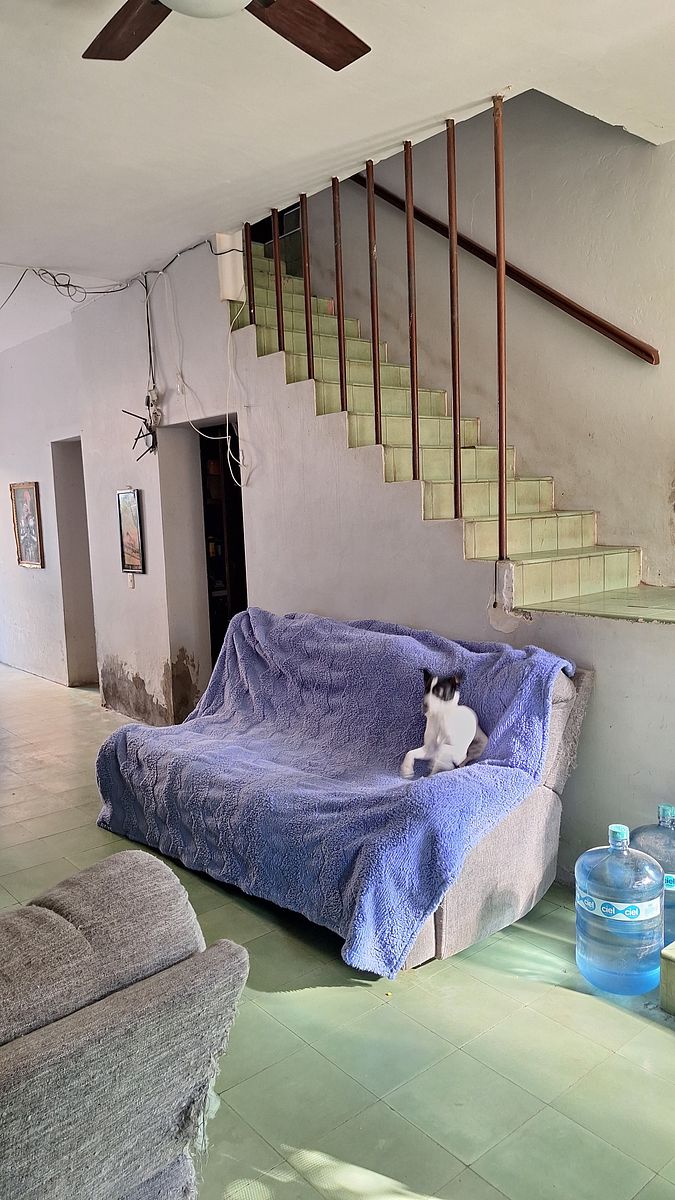 House in Arcos Vallarta, Guadalajara, photo 11 of 16