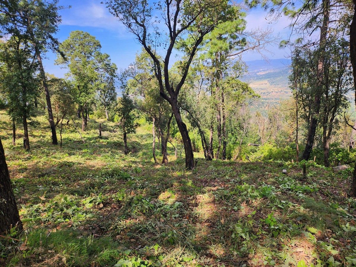 Terreno à venda em El Tecolote Mazamitla | A partir de 500 m², foto 1 de 5