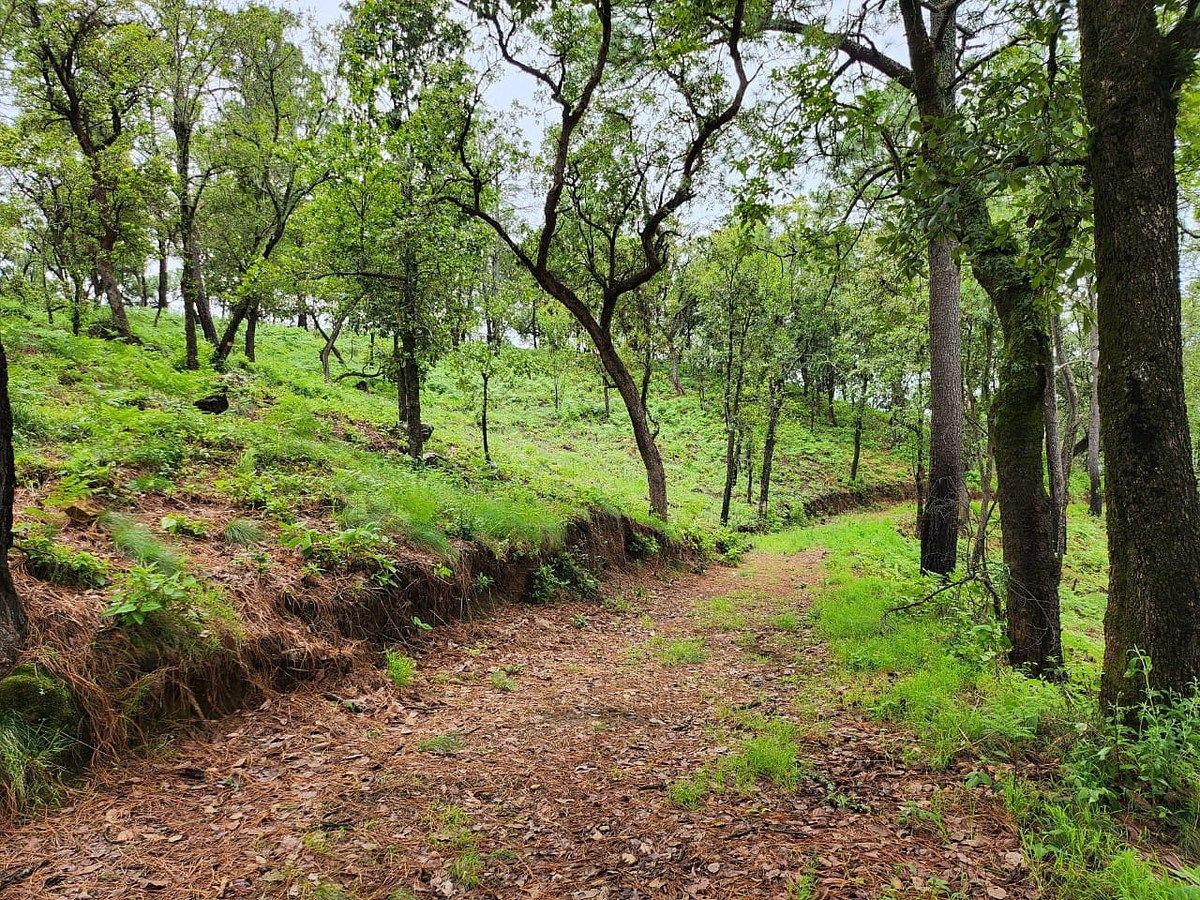 Lote em Mazamitla, Mazamitla, foto 4 de 5