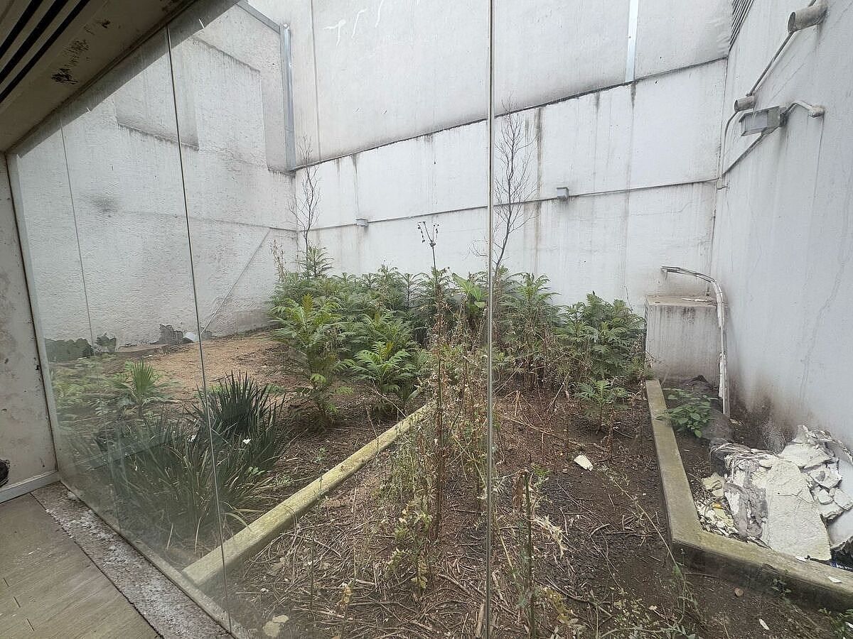 Casa con uso de suelo en Polanco V Sección, Miguel Hidalgo, foto 18 de 31