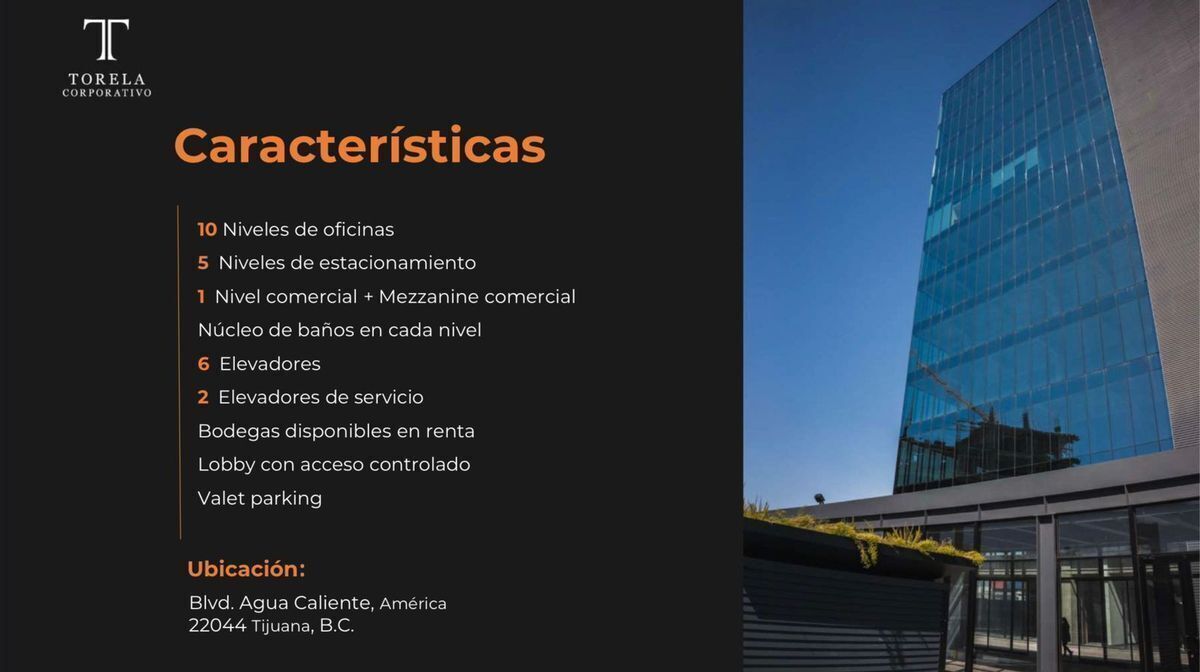 Office in Agua Caliente, Tijuana, photo 15 of 15