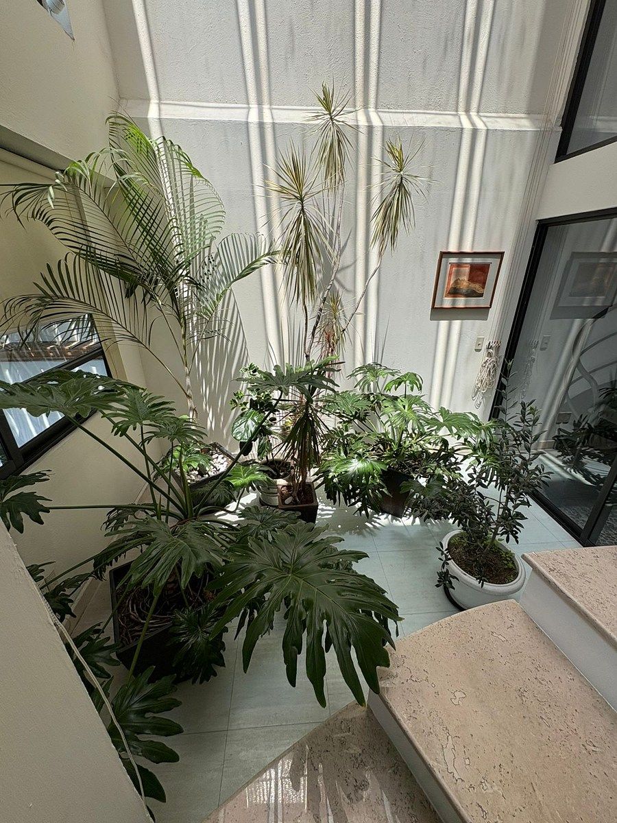 Casa en Lomas de Vista Hermosa, Cuajimalpa de Morelos, foto 18 de 41
