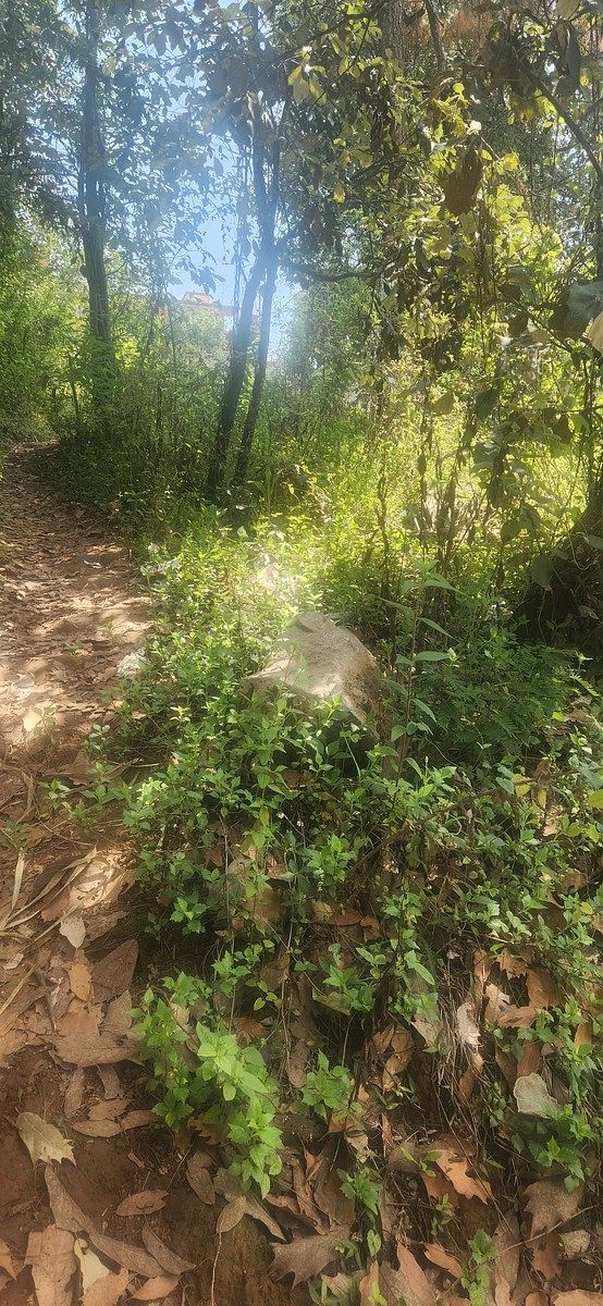 Terreno en Avándaro, Valle de Bravo, foto 4 de 7