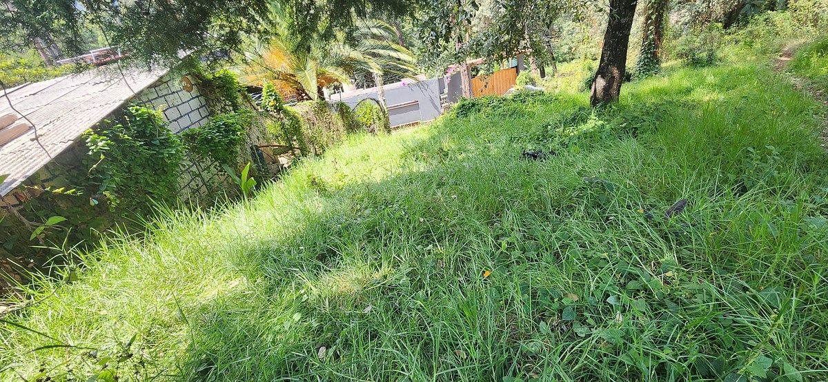 Terreno en Avándaro, Valle de Bravo, foto 5 de 7