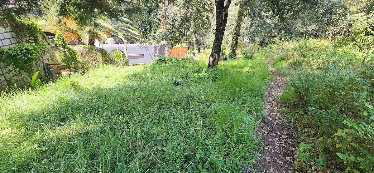 Terreno en Avándaro, Valle de Bravo, foto 6 de 7