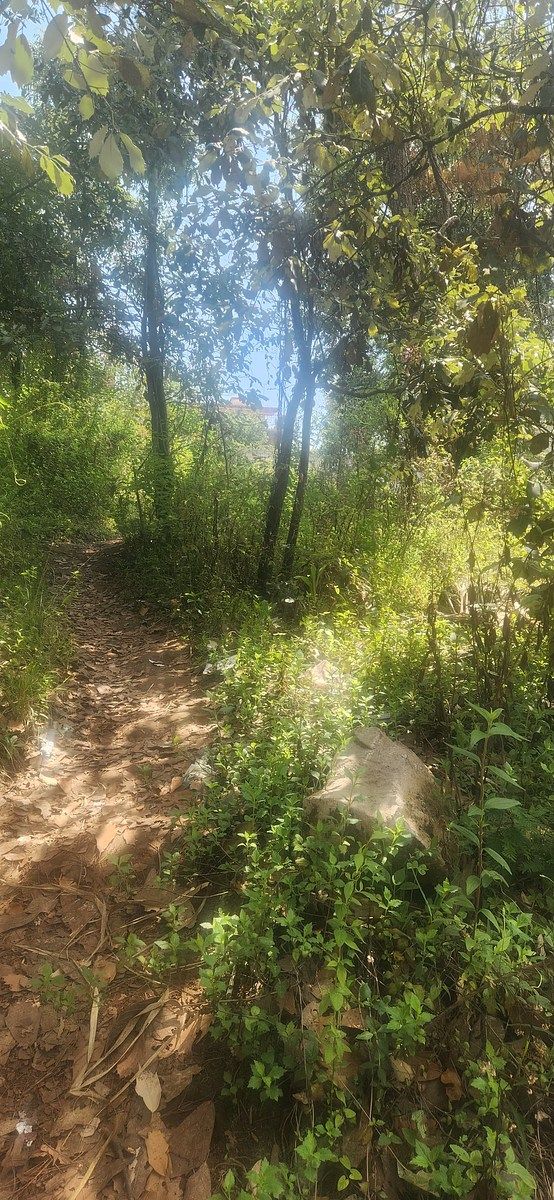 Terreno en Avándaro, Valle de Bravo, foto 7 de 7