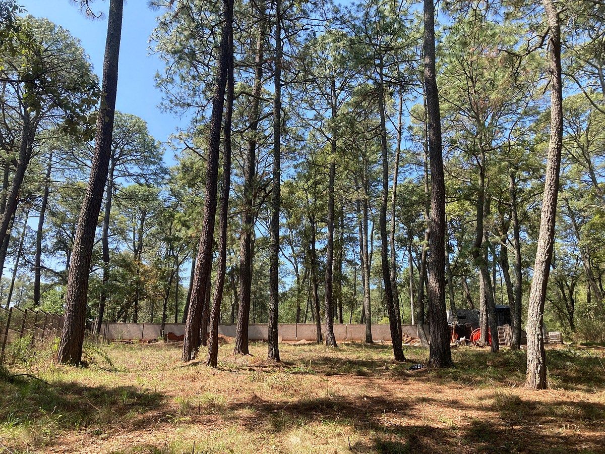 Lote em Los Espinos, Tapalpa, foto 3 de 21