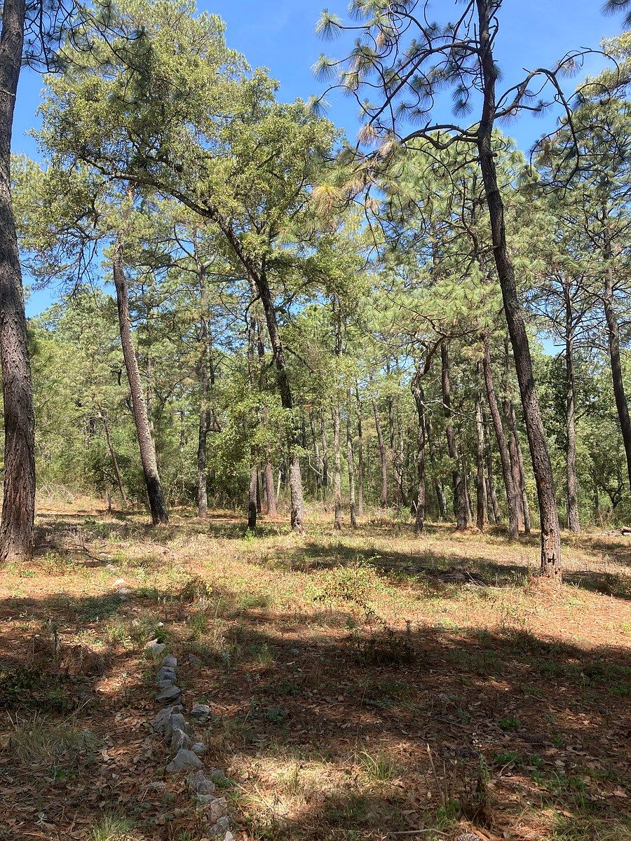 Lote em Los Espinos, Tapalpa, foto 6 de 21