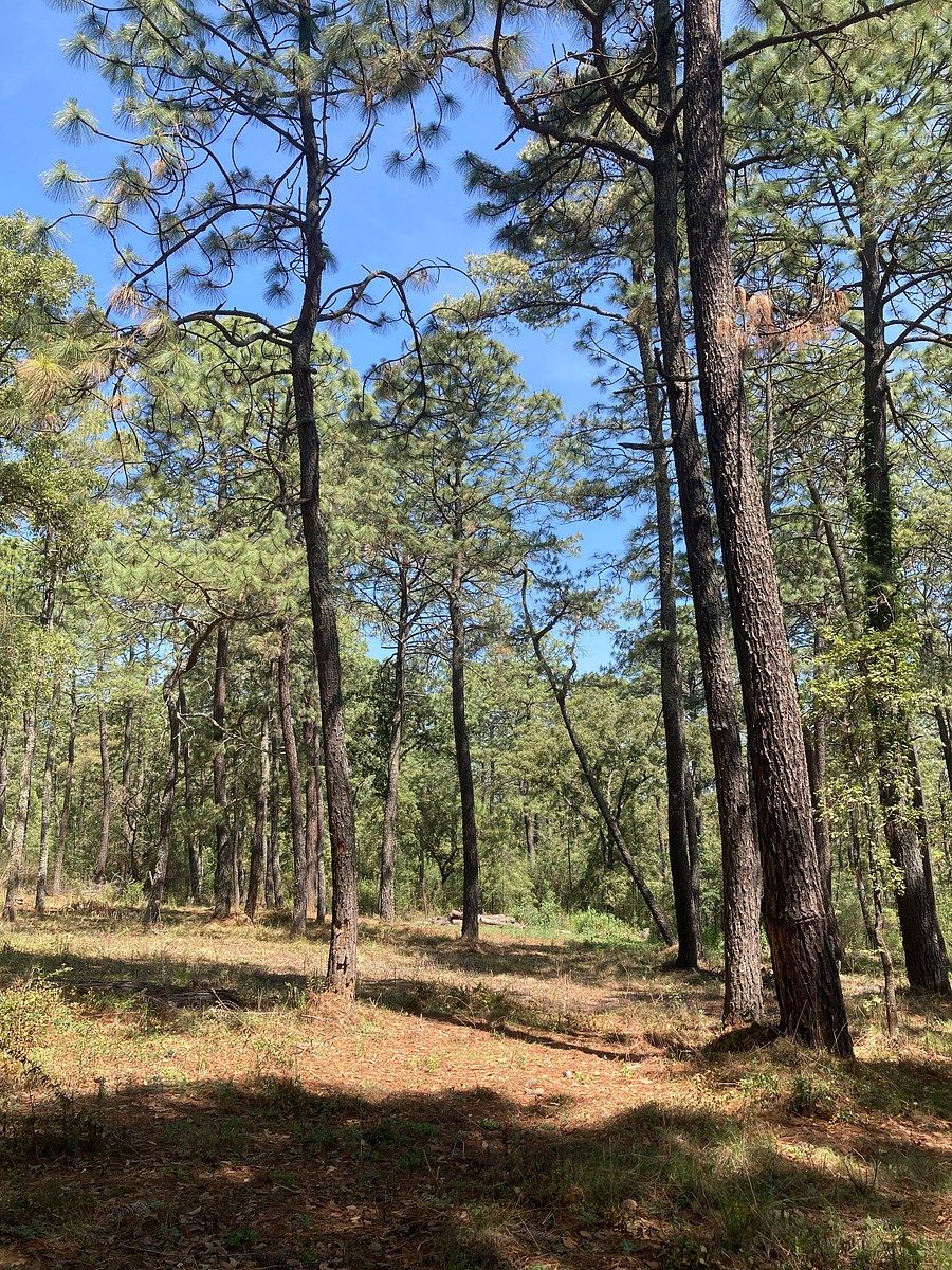 Lote em Los Espinos, Tapalpa, foto 7 de 21