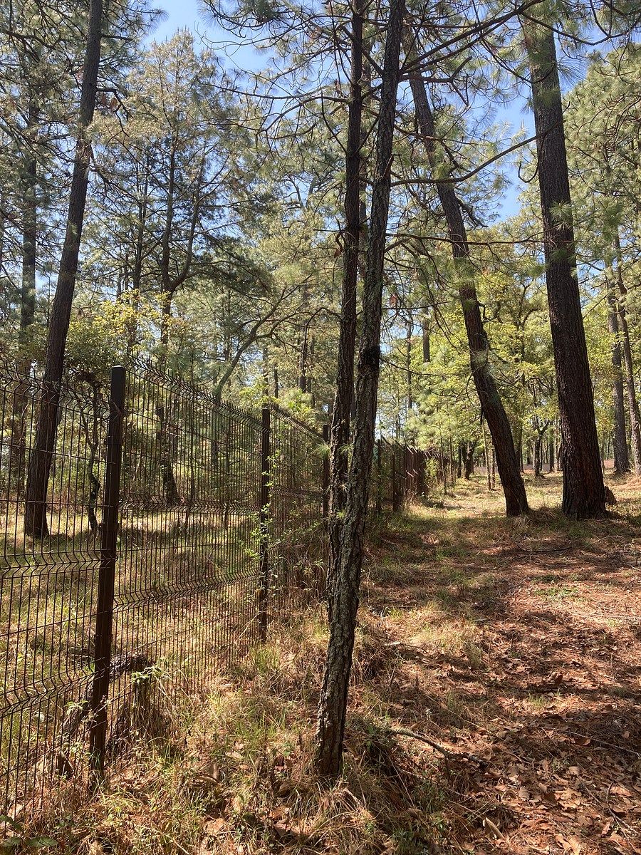 Lote em Los Espinos, Tapalpa, foto 8 de 21