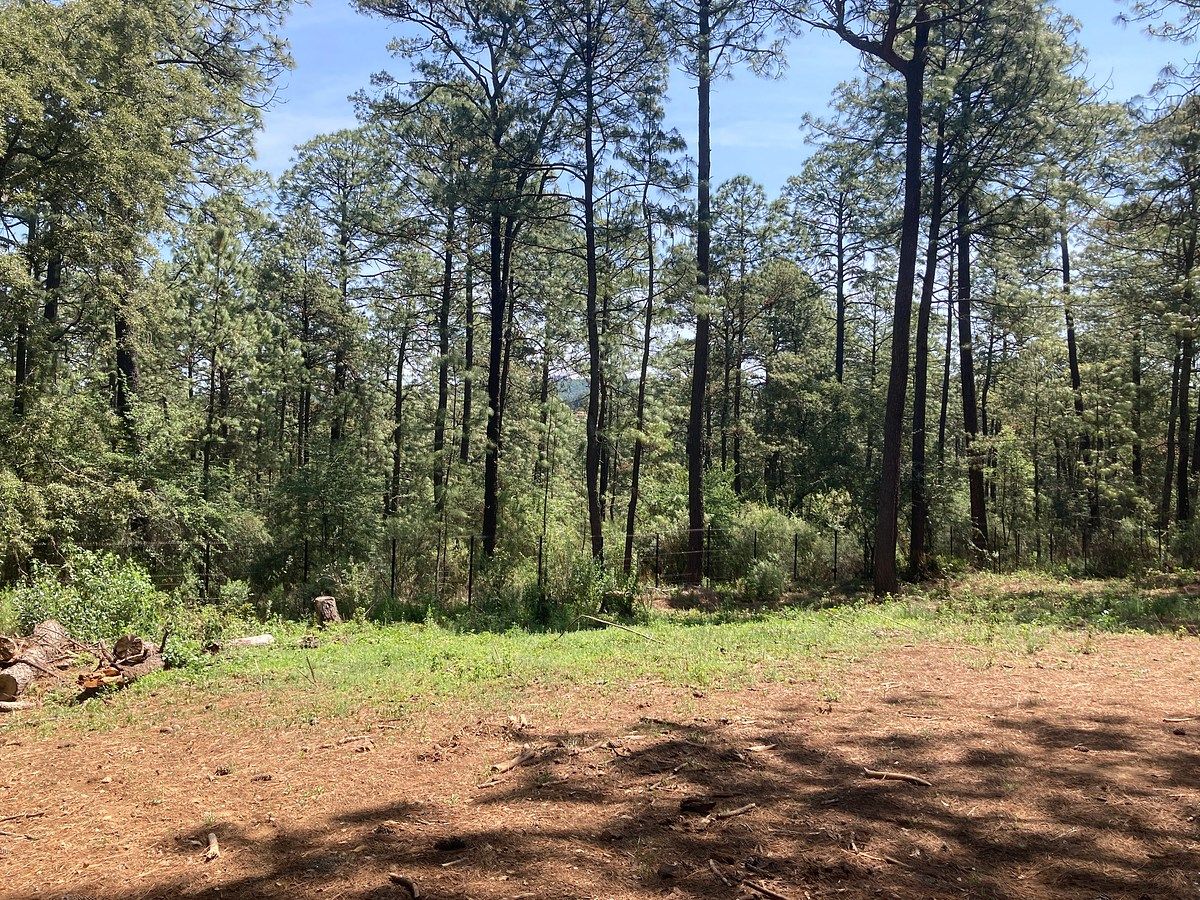 Lote em Los Espinos, Tapalpa, foto 9 de 21