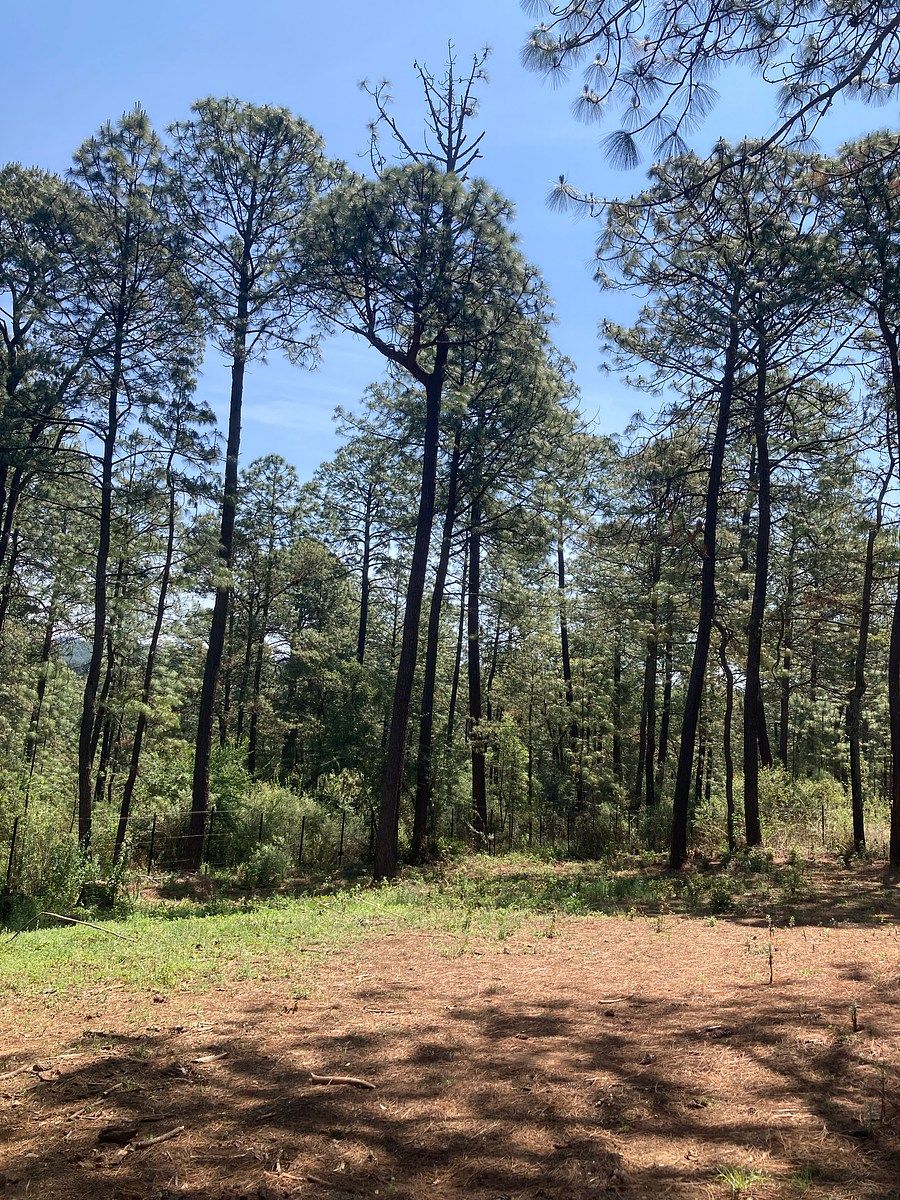 Lote em Los Espinos, Tapalpa, foto 10 de 21