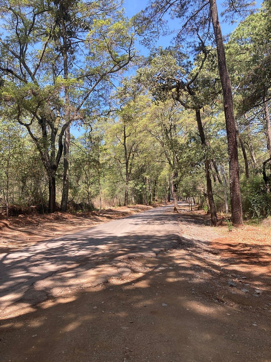 Lote em Los Espinos, Tapalpa, foto 13 de 21