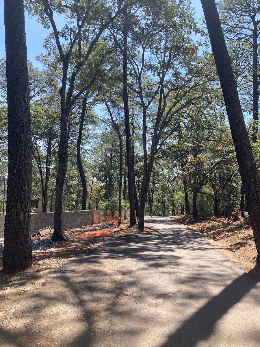 Lote em Los Espinos, Tapalpa, foto 14 de 21