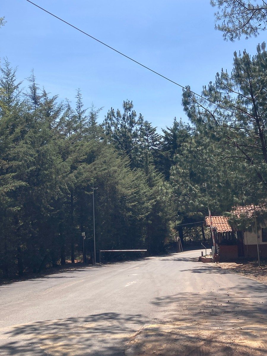 Lote em Los Espinos, Tapalpa, foto 17 de 21