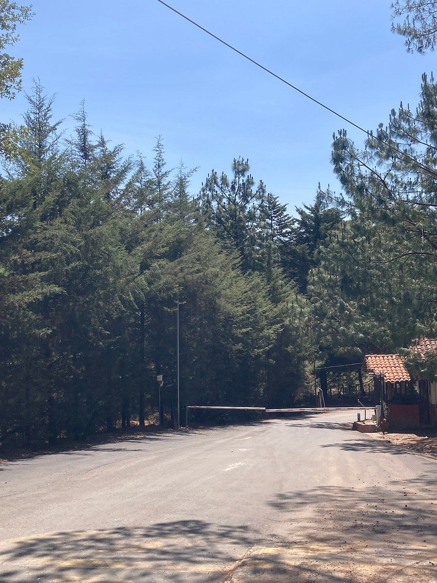 Lote em Los Espinos, Tapalpa, foto 19 de 21