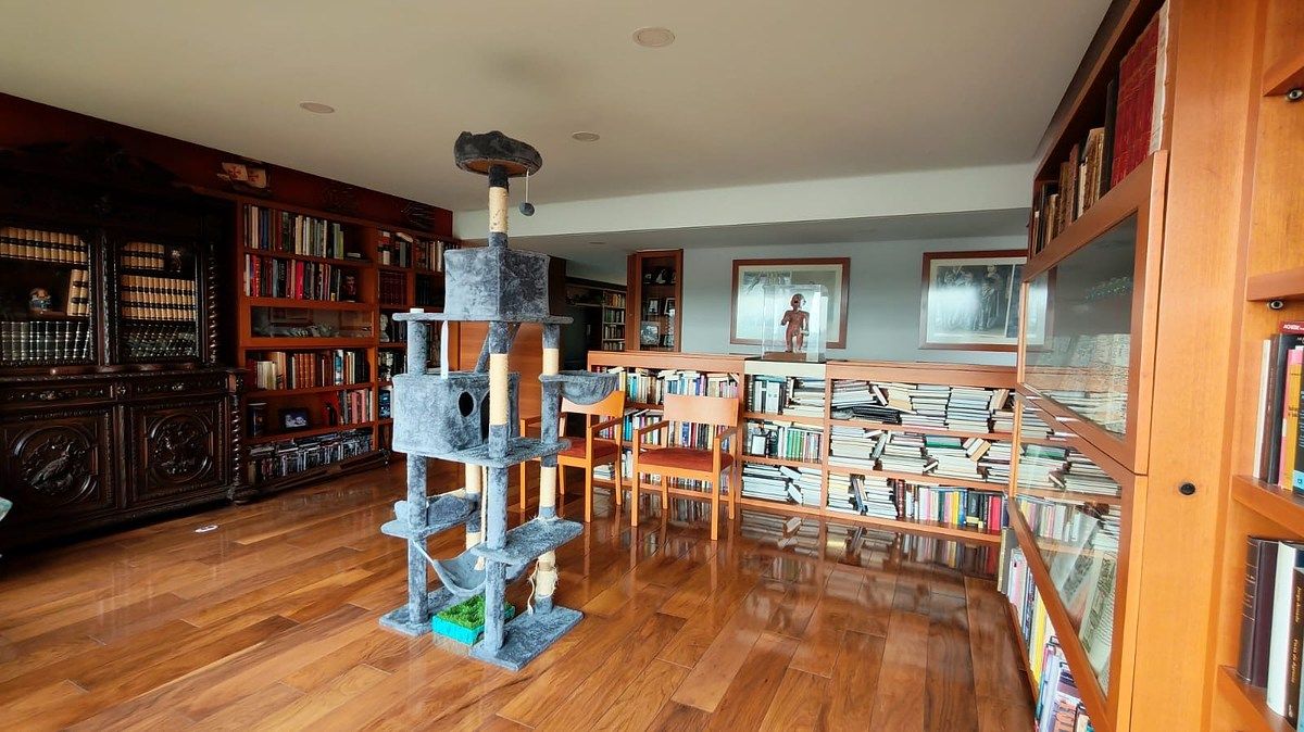 Apartment in Alcantarilla, Álvaro Obregón, photo 25 of 28
