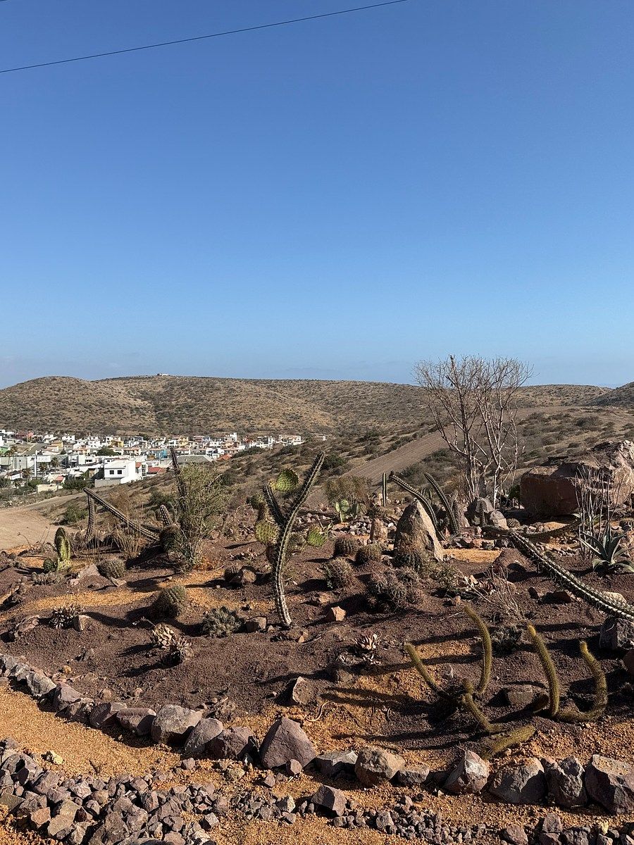Terreno en Real de San Marino, Ensenada, foto 13 de 20