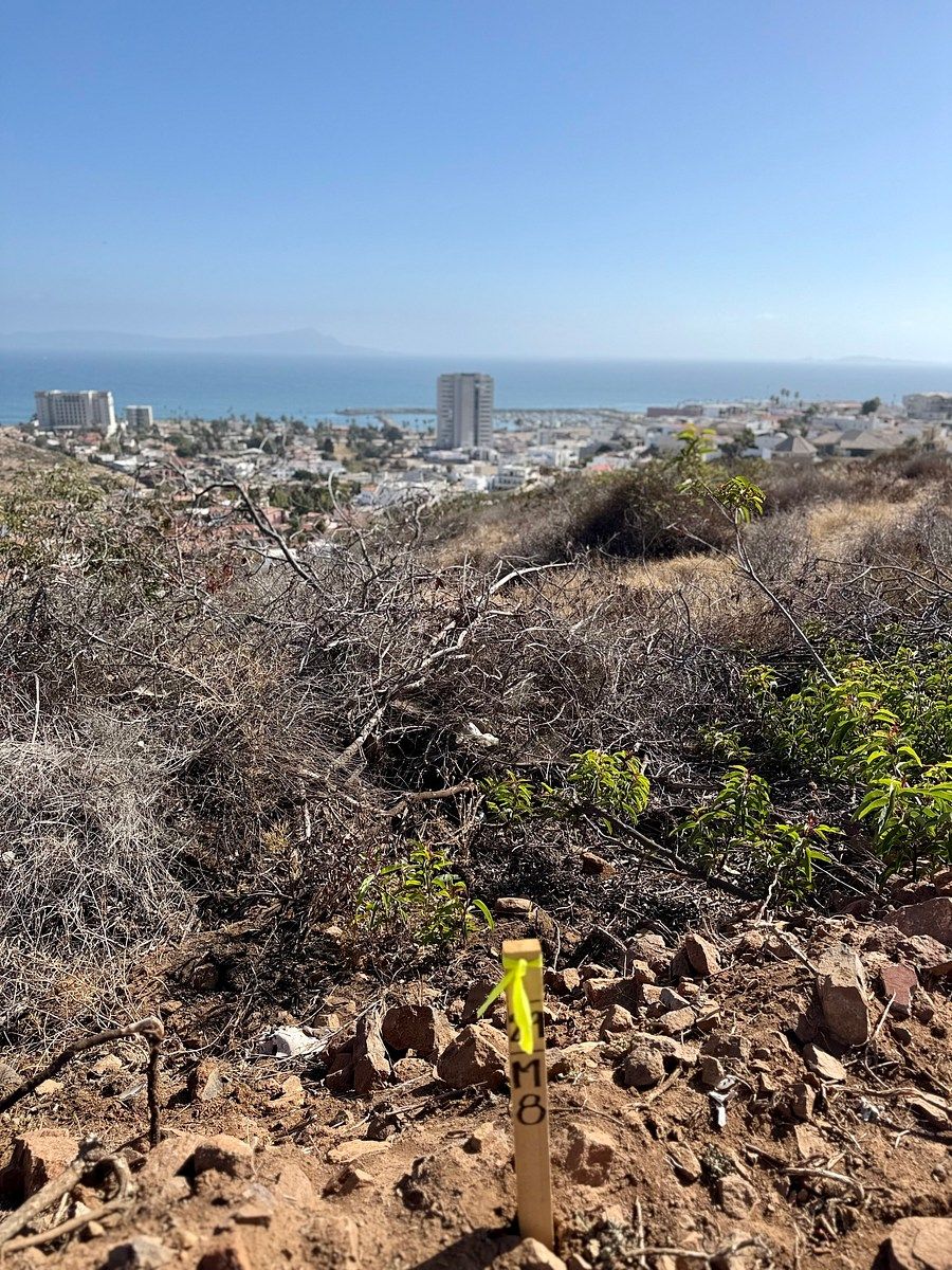 Terreno en Real de San Marino, Ensenada, foto 15 de 20