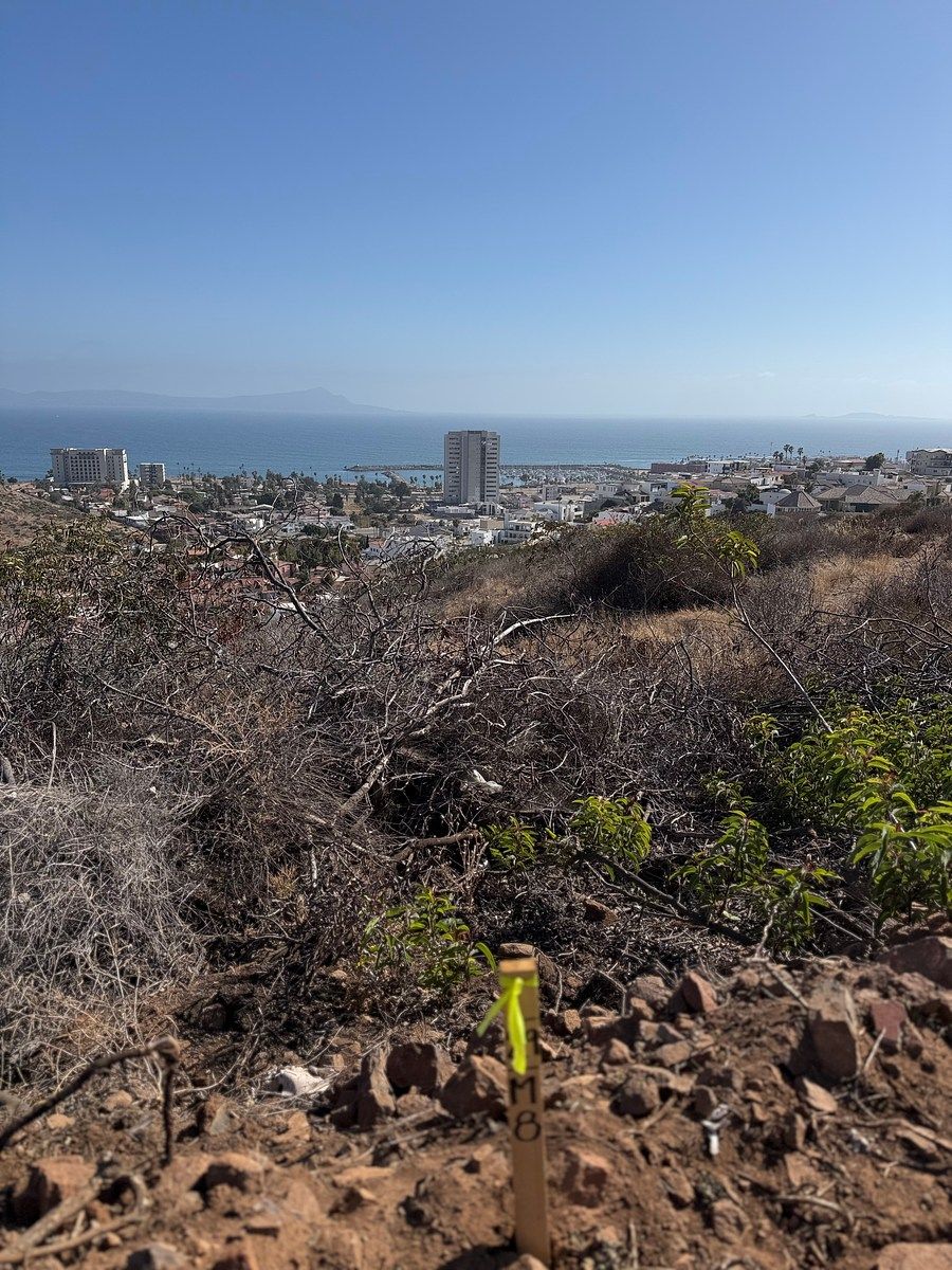 Terreno en Real de San Marino, Ensenada, foto 16 de 20