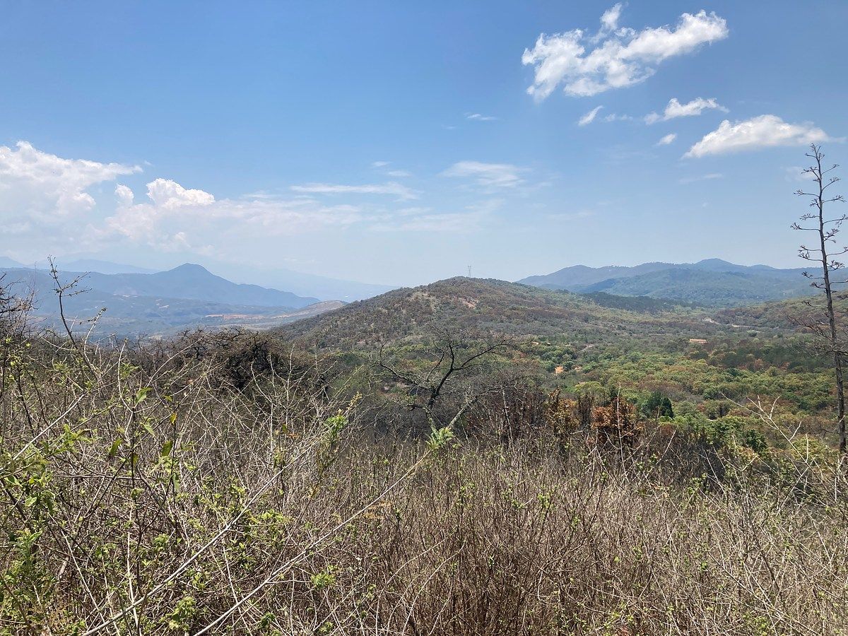 Lot in Tapalpa Country Club, Tapalpa, photo 9 of 20