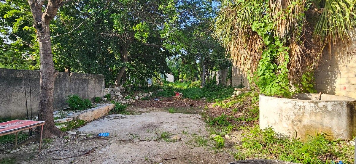 Casa en Mérida Centro, Mérida, foto 9 de 14
