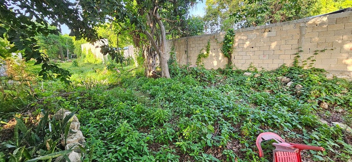Casa en Mérida Centro, Mérida, foto 12 de 14