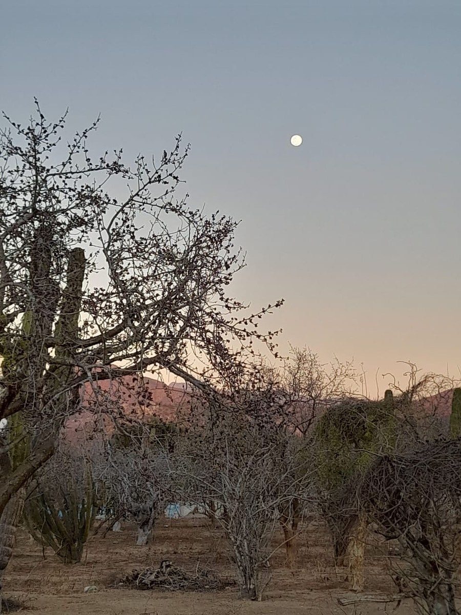 Lot in El Pescadero, La Paz, photo 5 of 28