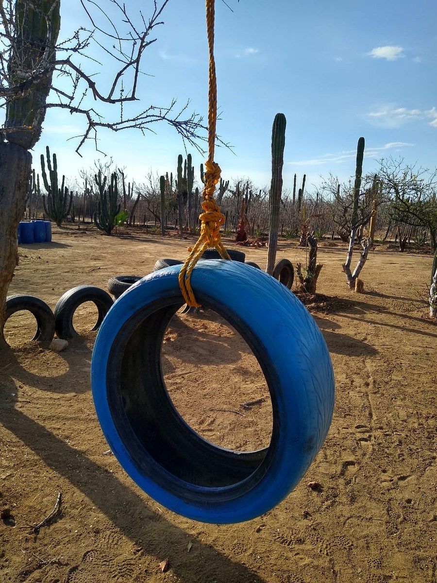 Lot in El Pescadero, La Paz, photo 9 of 28