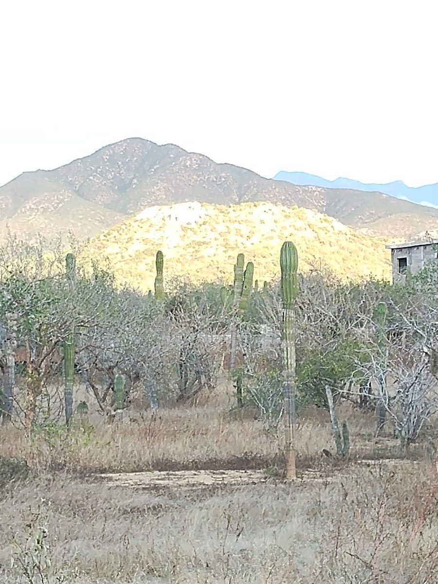 Lot in El Pescadero, La Paz, photo 12 of 28