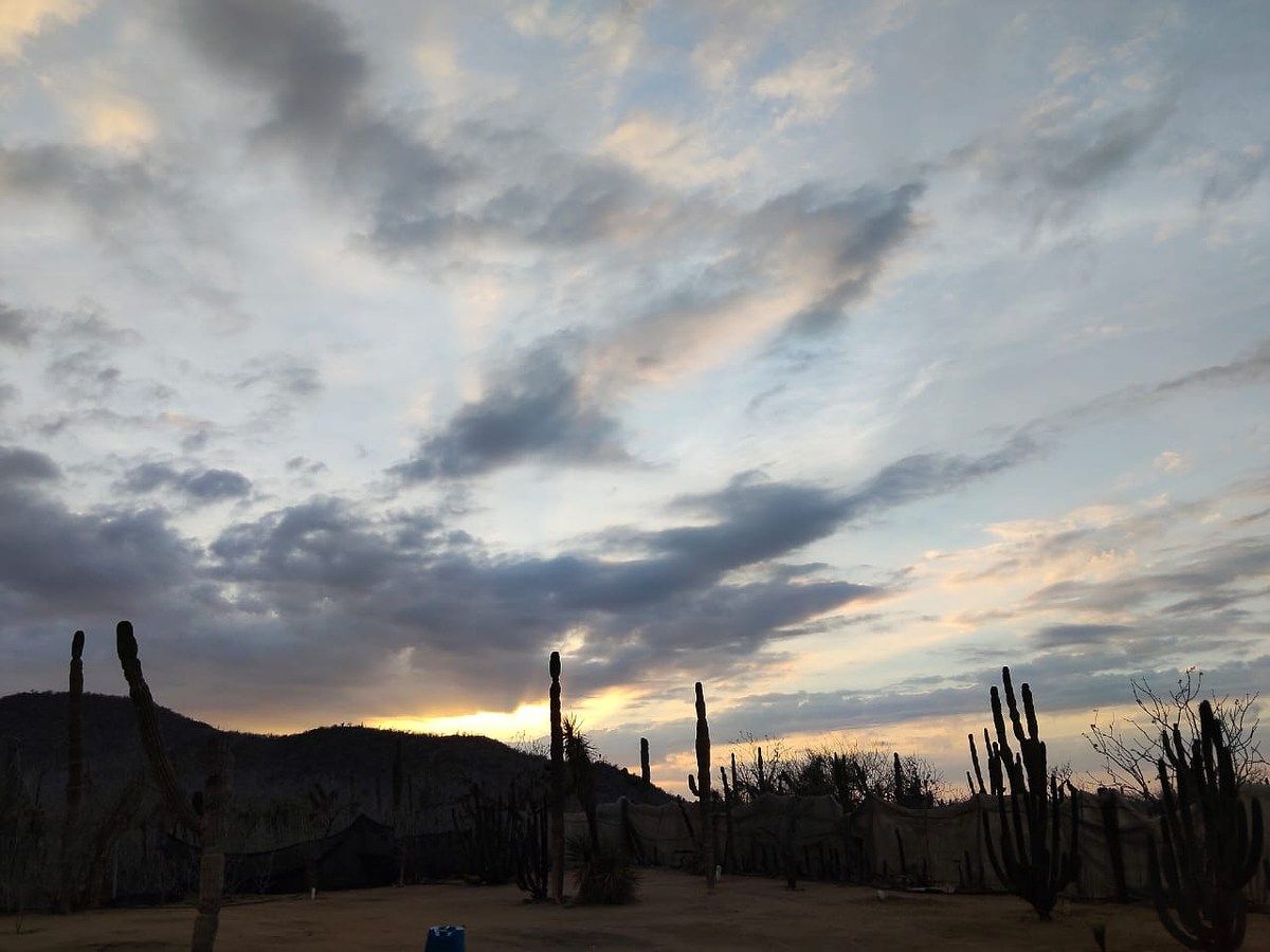 Lot in El Pescadero, La Paz, photo 14 of 28