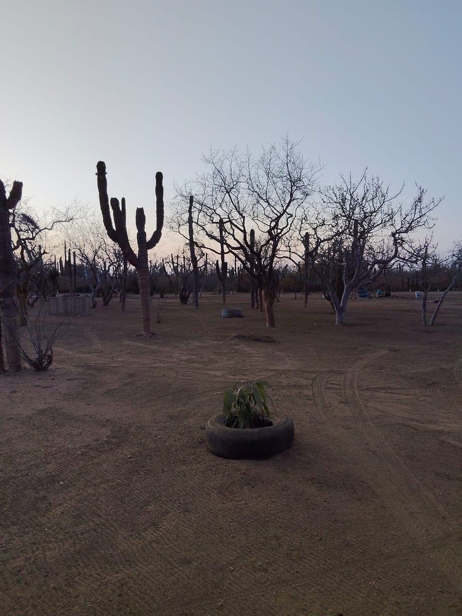 Lot in El Pescadero, La Paz, photo 18 of 28