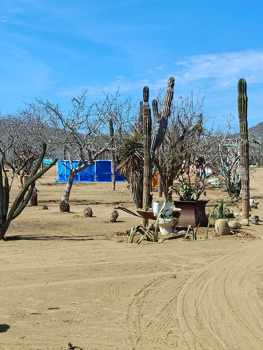 Lot in El Pescadero, La Paz, photo 20 of 28