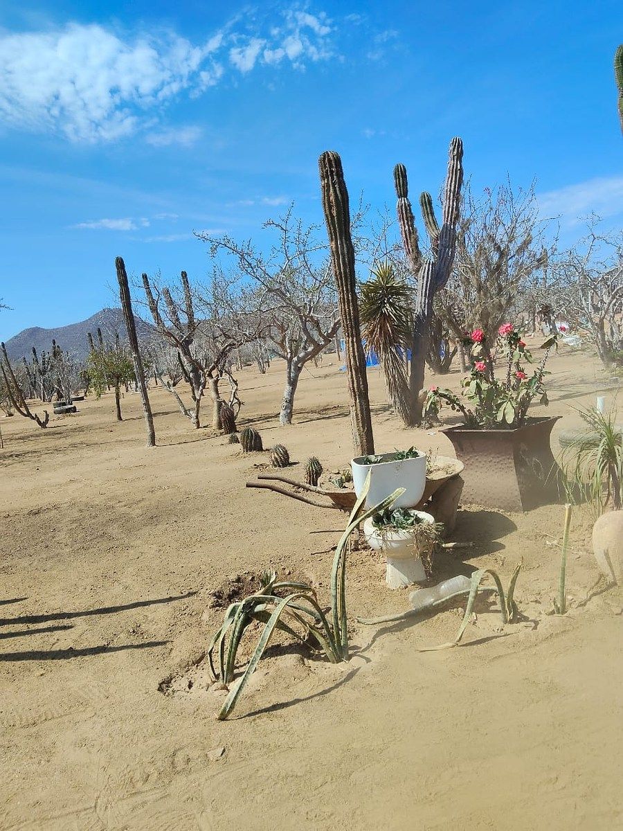 Lot in El Pescadero, La Paz, photo 22 of 28
