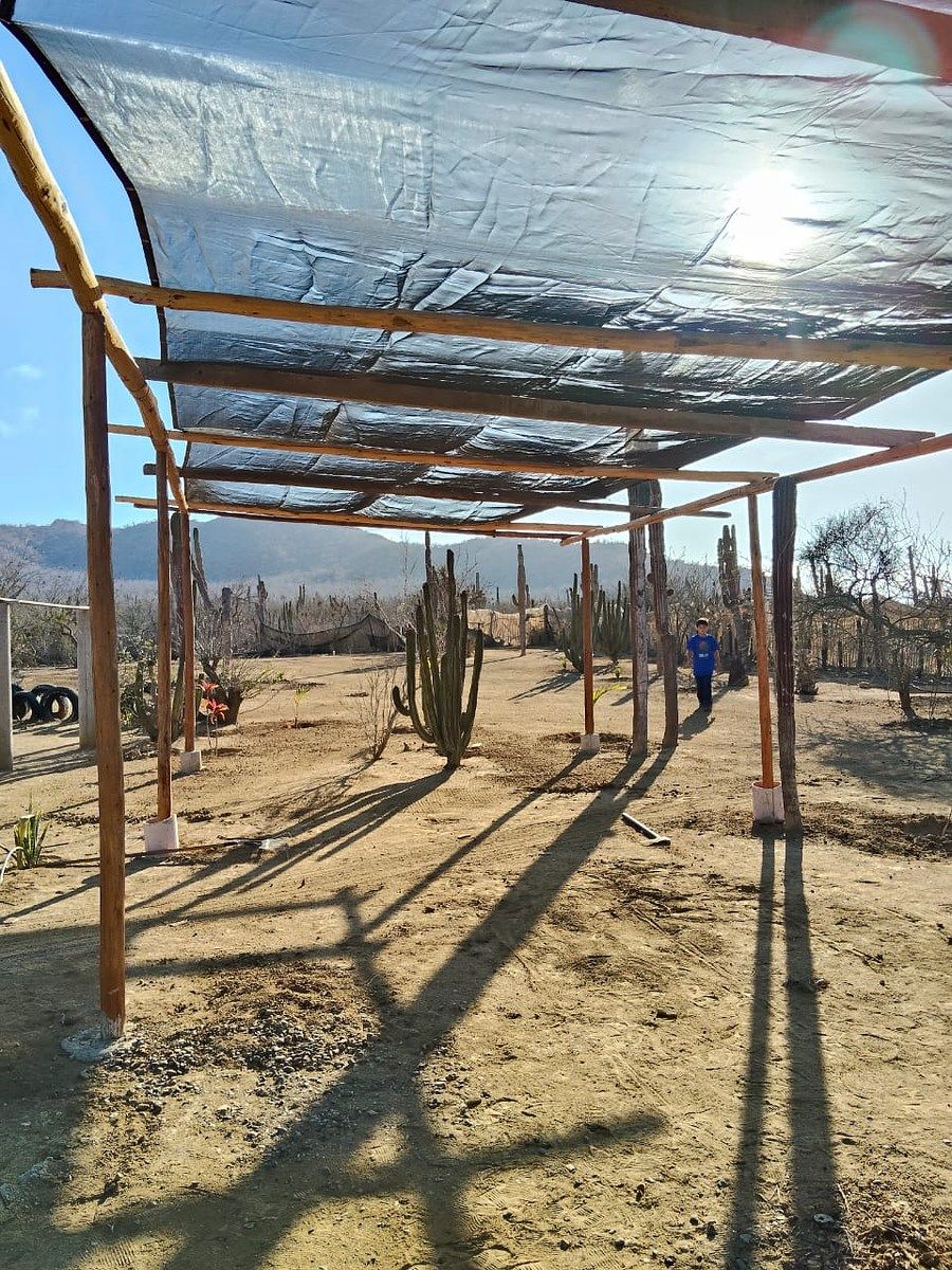 Lot in El Pescadero, La Paz, photo 23 of 28