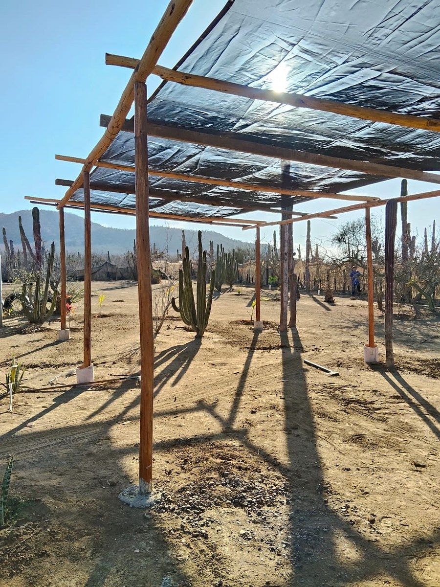 Lot in El Pescadero, La Paz, photo 25 of 28