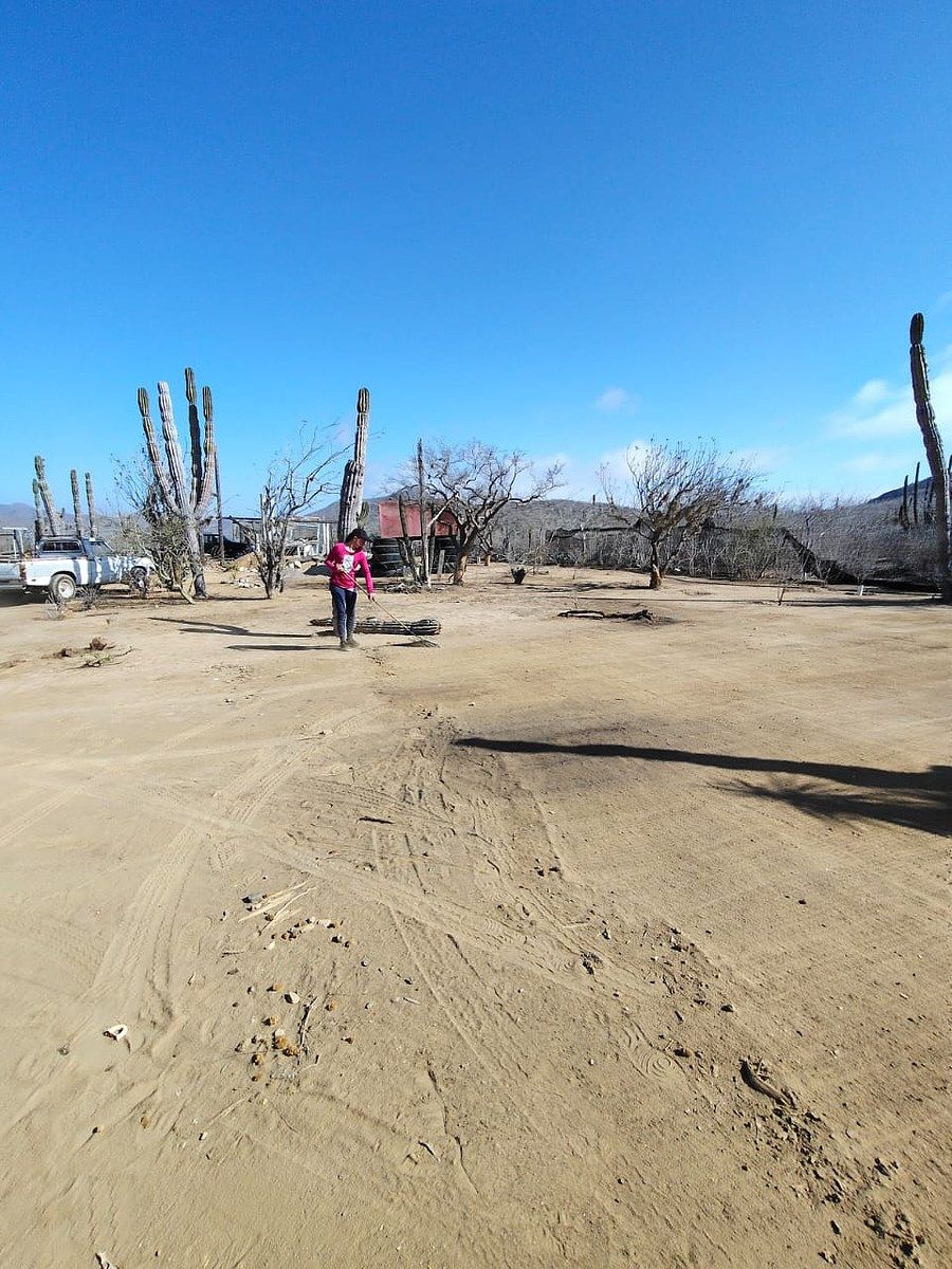 Lot in El Pescadero, La Paz, photo 26 of 28