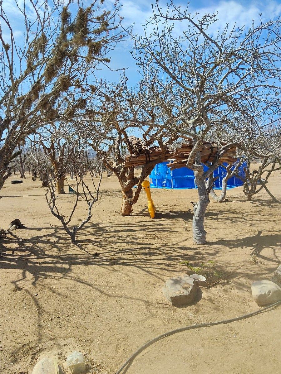 Lot in El Pescadero, La Paz, photo 27 of 28