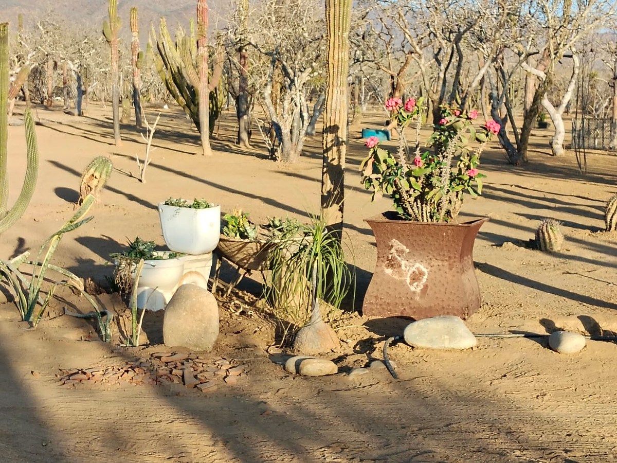 Lot in El Pescadero, La Paz, photo 28 of 28