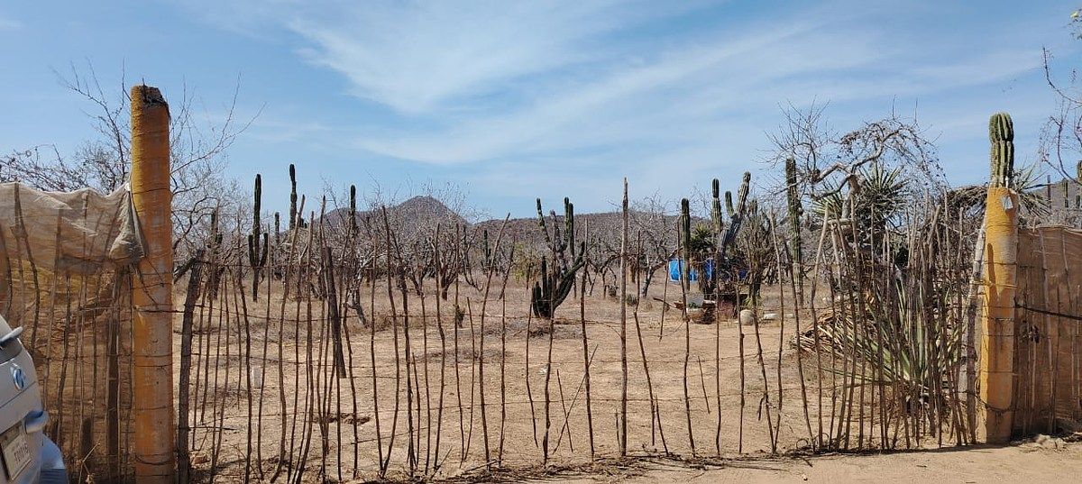 Terreno en El Pescadero, La Paz, foto 9 de 18
