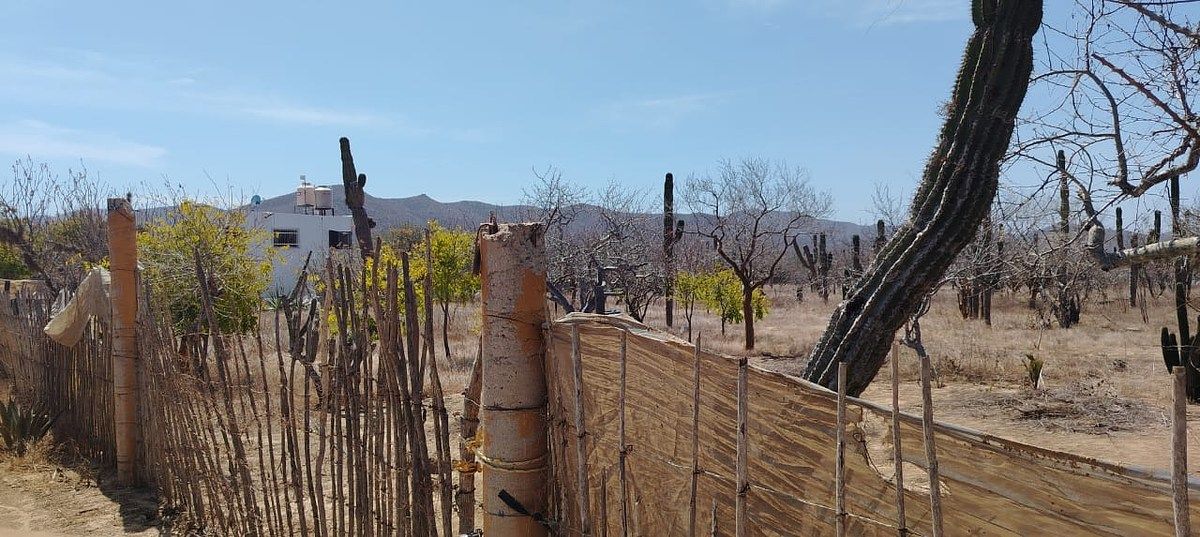 Terreno en El Pescadero, La Paz, foto 10 de 18