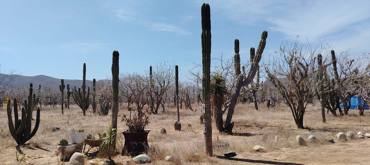 Terreno en El Pescadero, La Paz, foto 12 de 18