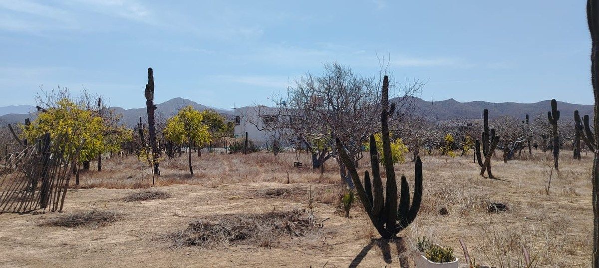 Terreno en El Pescadero, La Paz, foto 11 de 18