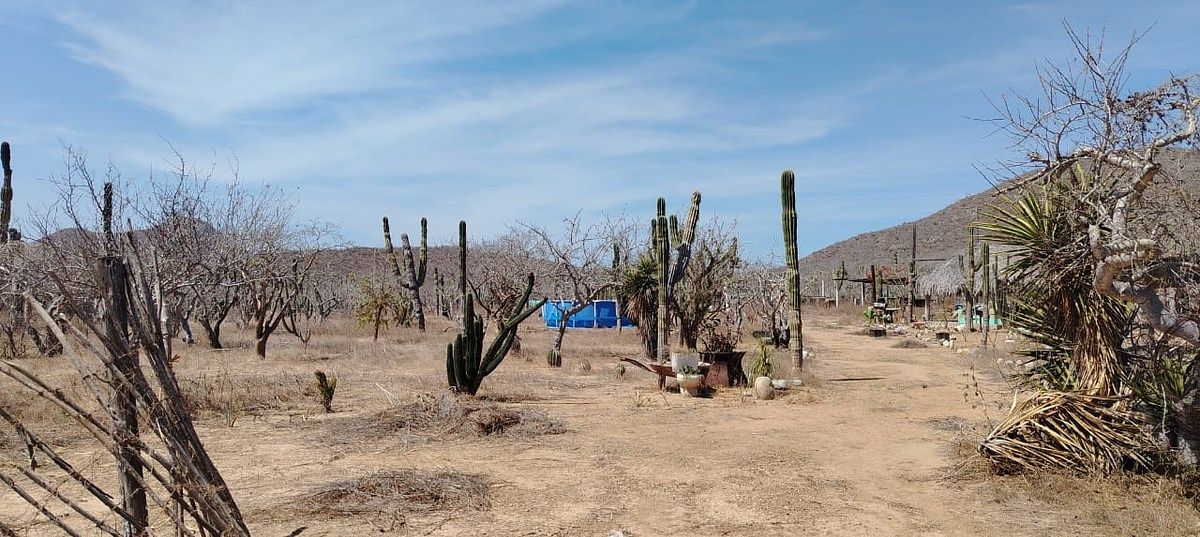 Terreno en El Pescadero, La Paz, foto 16 de 18