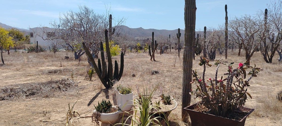Terreno en El Pescadero, La Paz, foto 15 de 18