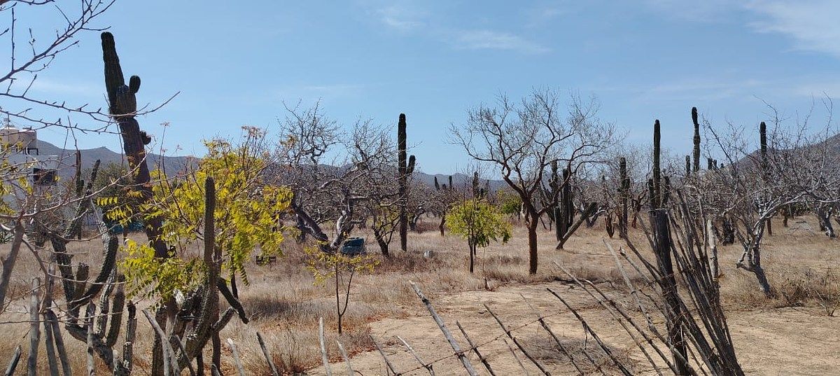 Terreno en El Pescadero, La Paz, foto 17 de 18