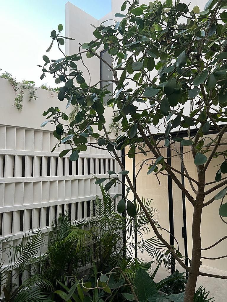 Casa em condomínio fechado em Yucatán Country Club, Mérida, foto 3 de 7