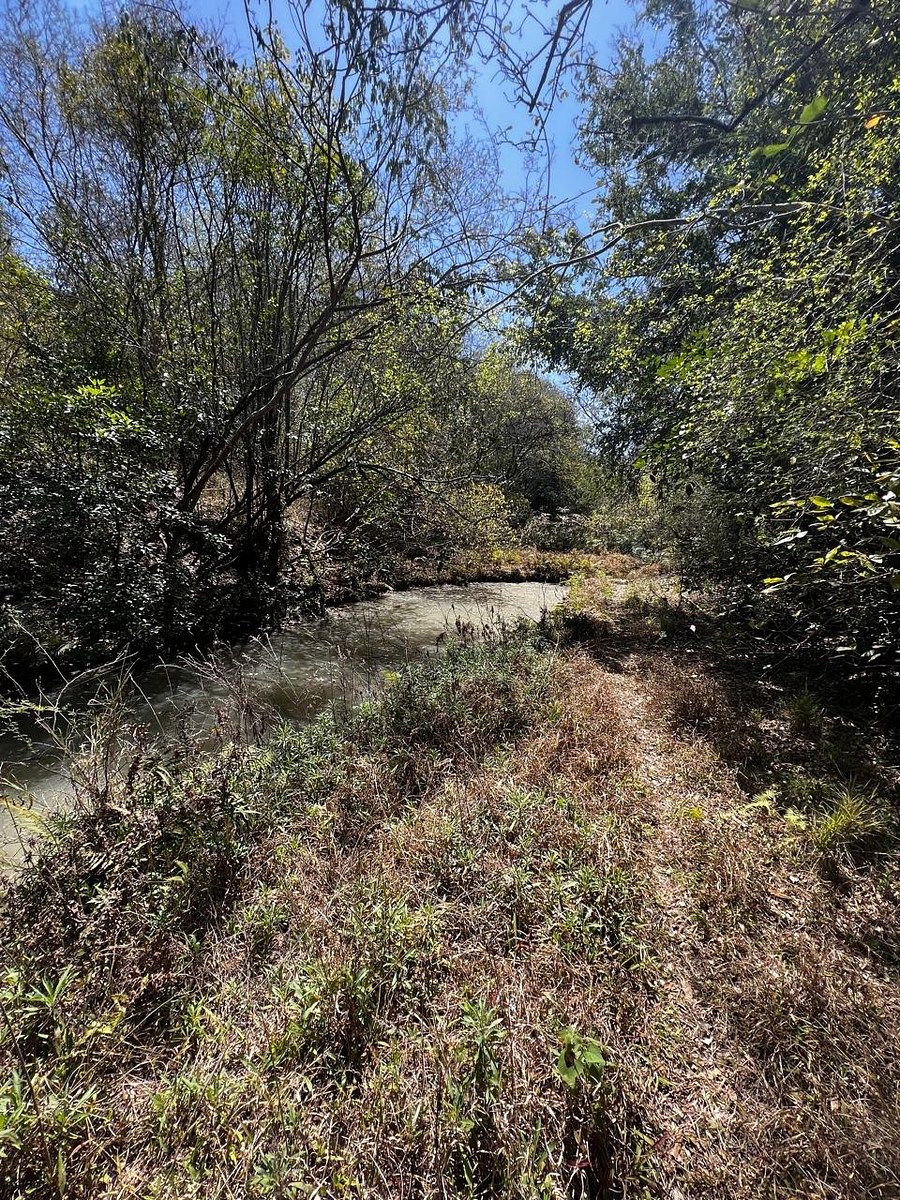 Terreno en Las Adjuntas, Montemorelos, foto 3 de 9