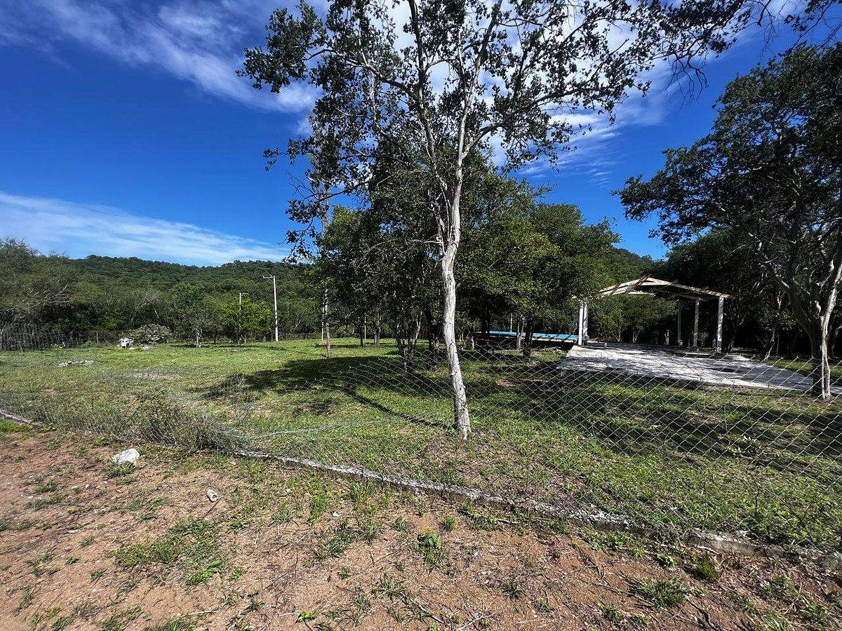 Terreno en Las Adjuntas, Montemorelos, foto 4 de 9